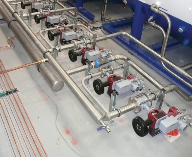 CAMFLEX II GR (Globe Replacement)