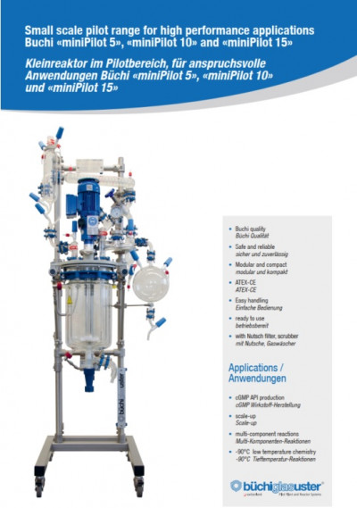 Minipilot Glass Pilot Reactor
